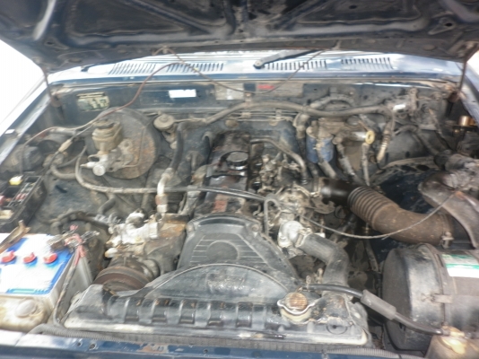 ขายไมตี้ ปี 91     90000