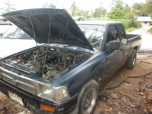 ขายไมตี้ ปี 91     90000