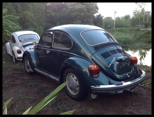 $$$$$$$ขาย1974 พร้อมใช้งานทันที$$$$$$$ $$$$$$$ขาย1974 พร้อมใช้งานทันที$$$$$$$