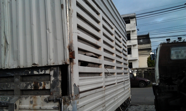 ขายรถ6ล้อกระบะเลสเครื่องดีพร้อมใช้งาน