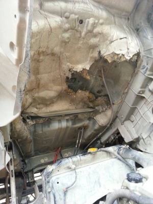 รถฮีโน่ 10 ล้อดั้ม 260 แรงม้า ปี 47 ( ขายแม่/ลูก ) สนใจติดต่อ 081 - 6079515