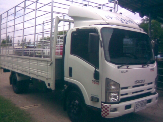 6 ล้อ ISUZU EURO.3 NQR 175 แรงม้า *คอมมอนเรว* ยาว 5.60 ม. * รถสวยเดิม+สวยจริง *รถห้างแท้ ๆ*