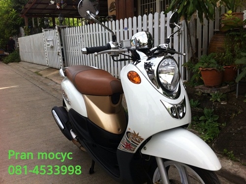 ขาย yamaha fino สีขาวน้ำตาล ปี2555 ขาย yamaha fino สีขาวน้ำตาล ปี2555