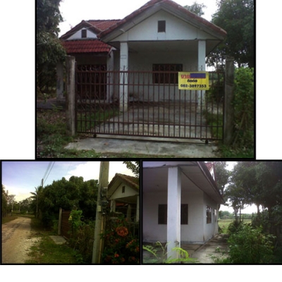 ขายบ้านพร้อมที่ดิน เนื้อที่ 2 งาน บ้านชั้นเดียว ป่าซาง ลำพูน