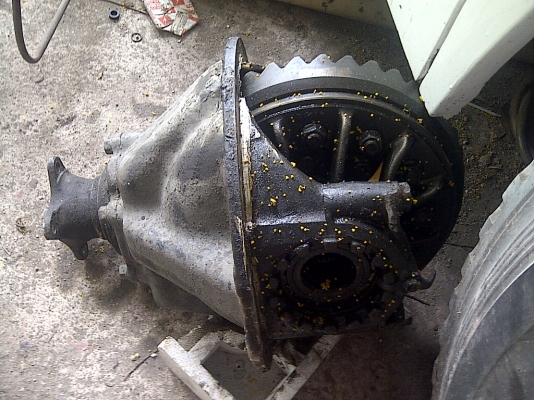 ขายเฟืองท้ายบัสกลาง