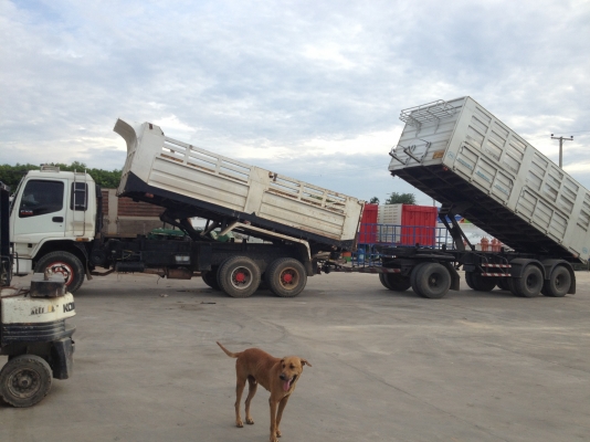 ขายdeca 270 euro1 ปี45แม่ลูกดั๊มลูก3คาน