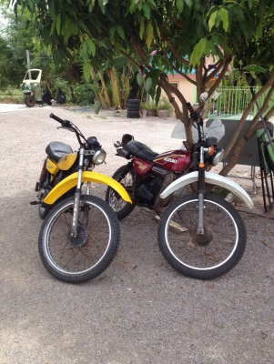 ********** ขายด่วนประชดเมีย ******** ********** ขายด่วนประชดเมีย ********