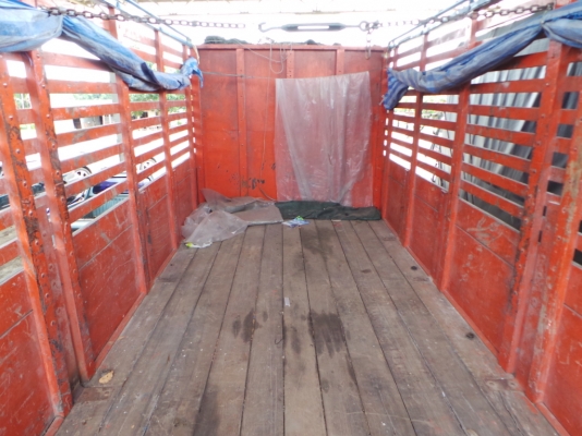 ISUZU FVM 195 แรงม้า พี่จุ๋ม ซื้อไปใช้งานจังหวัดเชียงใหม่เรียบร้อยแล้วค่ะ ISUZU FVM 195 แรงม้า พี่จุ๋ม ซื้อไปใช้งานจังหวัดเชียงใหม่เรียบร้อยแล้วค่ะ