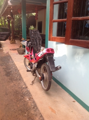 ขาย honda dash