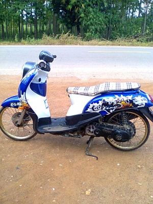 มีโอ49แปลงฟีโน่