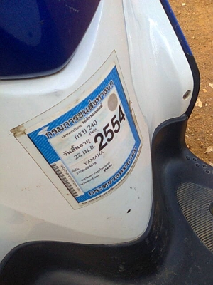 มีโอ49แปลงฟีโน่