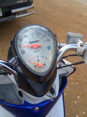 มีโอ49แปลงฟีโน่