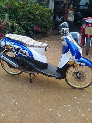 มีโอ49แปลงฟีโน่