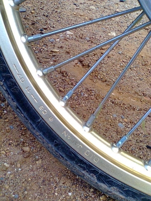 มีโอ49แปลงฟีโน่