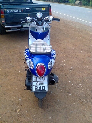 มีโอ49แปลงฟีโน่