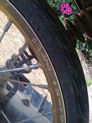 มีโอ49แปลงฟีโน่