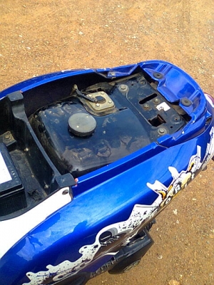 มีโอ49แปลงฟีโน่