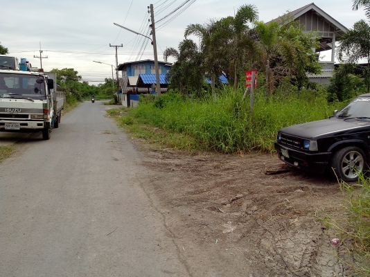 ต้องการขายที่ 380 ตารางวา ถมแล้วตารางวาละ10000 คลองหลวง คลองสอง