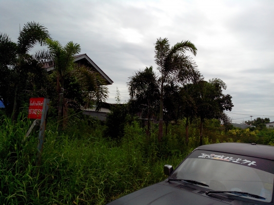 ต้องการขายที่ 380 ตารางวา ถมแล้วตารางวาละ10000 คลองหลวง คลองสอง