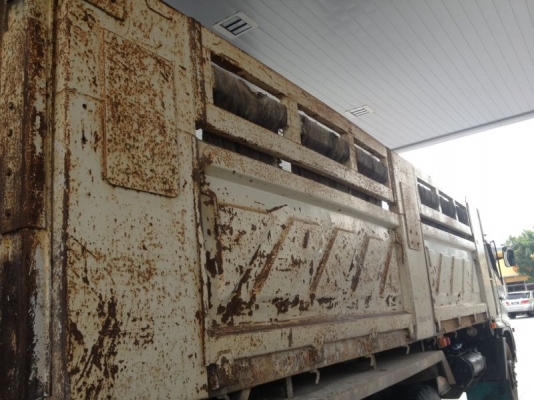 รถฮีโน่ 10 ล้อดั้ม 260 แรงม้า ปี 47 ( ขายแม่/ลูก ) สนใจติดต่อ 081 - 6079515 รถฮีโน่ 10 ล้อดั้ม 260 แรงม้า ปี 47 ( ขายแม่/ลูก ) สนใจติดต่อ 081 - 6079515