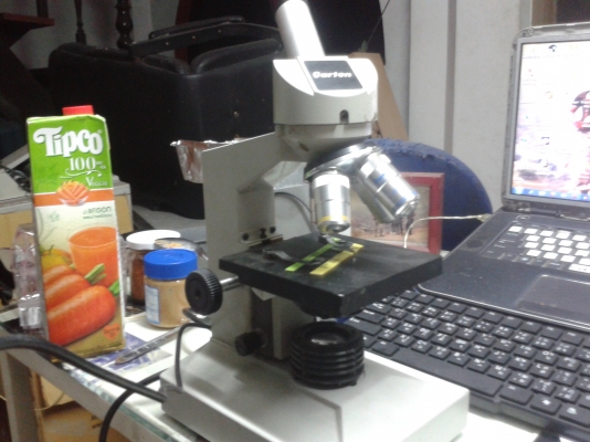 กล้องจุลทัศ