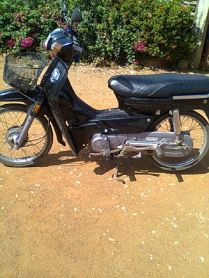 ดรีม100ปี39สตาร์ทมือ ดรีม100ปี39สตาร์ทมือ