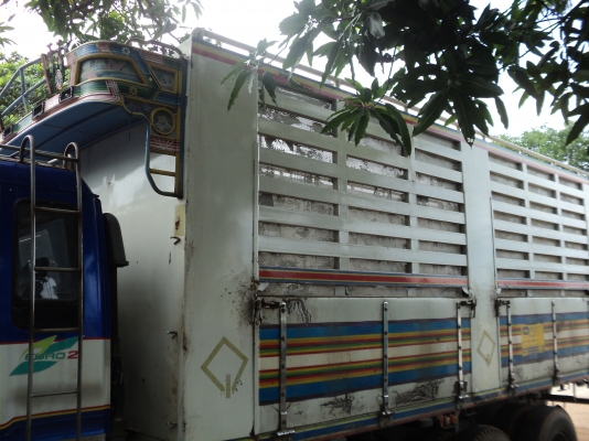 ขายกระบะ  isuzu โทร 0818441030 ครับ