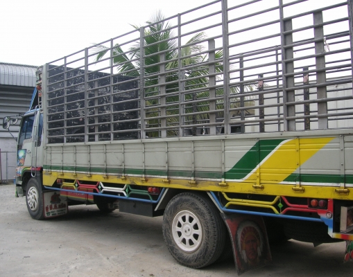 ขาย Hino 6ล้อ FF 195 แรง รถห้างแท้ ขาย Hino 6ล้อ FF 195 แรง รถห้างแท้