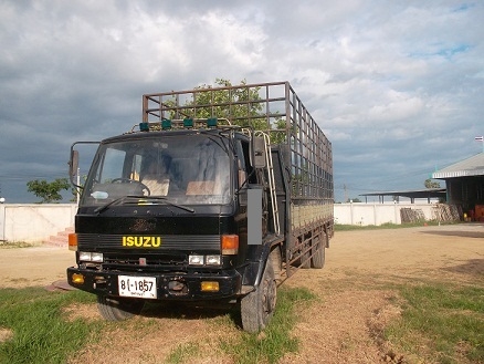 ขาย ISUZU  ROCKY เครื่อง 165 แรง กะบะยาว 7.20 เมตร