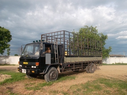 ขาย ISUZU ROCKY เครื่อง 165 แรง กะบะยาว 7.20 เมตร ขาย ISUZU ROCKY เครื่อง 165 แรง กะบะยาว 7.20 เมตร