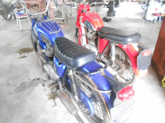 ขายไทอั้ม 5 แรง ขี่ดี