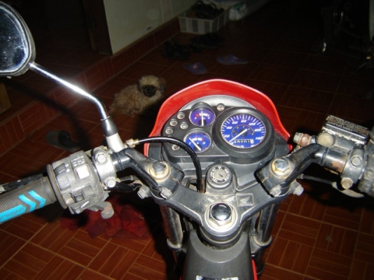 ขายโซนิค