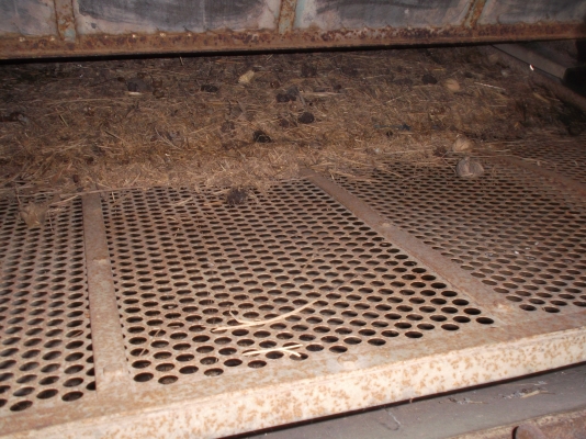 ขายรถเกี่ยวข้าว แรงๆ วิชาญการช่าง (แทรกเตอร์) ขายตามสภาพ