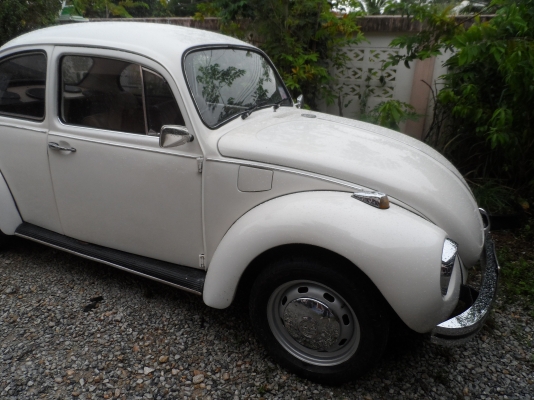 ขายโฟคเต่า