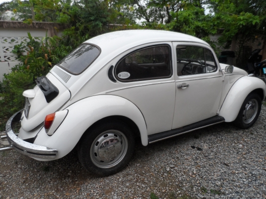 ขายโฟคเต่า