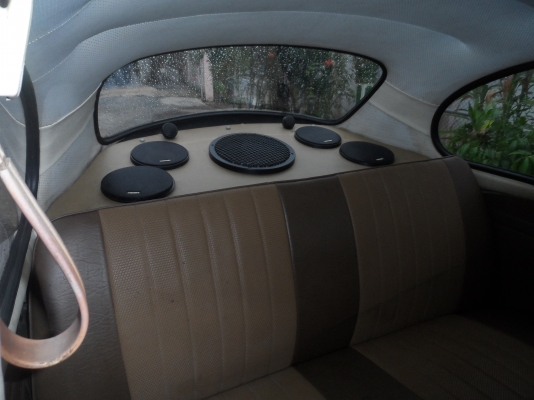 ขายโฟคเต่า