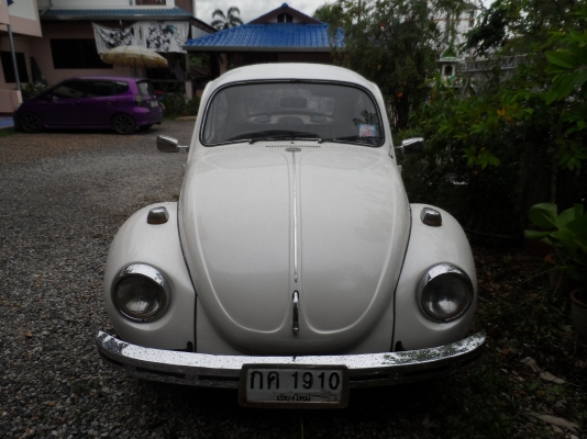 ขายโฟคเต่า