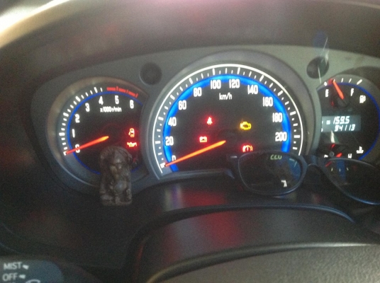 ขาย Isuzu d max super platinum