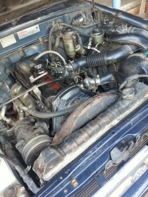 ขายคับ ไมตี้91 เวอแท้ ขายคับ ไมตี้91 เวอแท้