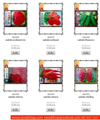 ตลาดช็อป ตลาดซื้อขายสินค้า (แม่สาย) ออนไลน์ ( ปลีก และ ส่ง หรือ จัดหา ) ตลาดช็อป ตลาดซื้อขายสินค้า (แม่สาย) ออนไลน์ ( ปลีก และ ส่ง หรือ จัดหา )