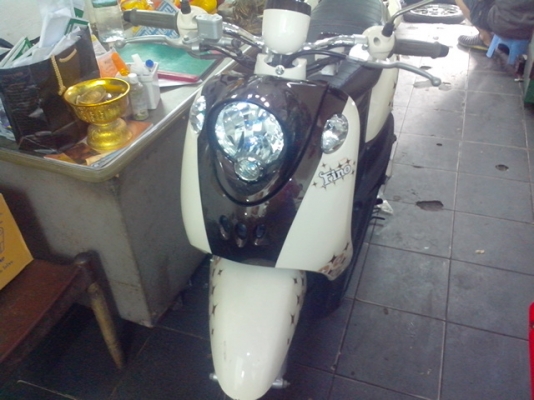 ขาย ฟีโน่ ถูกๆ ขาย ฟีโน่ ถูกๆ