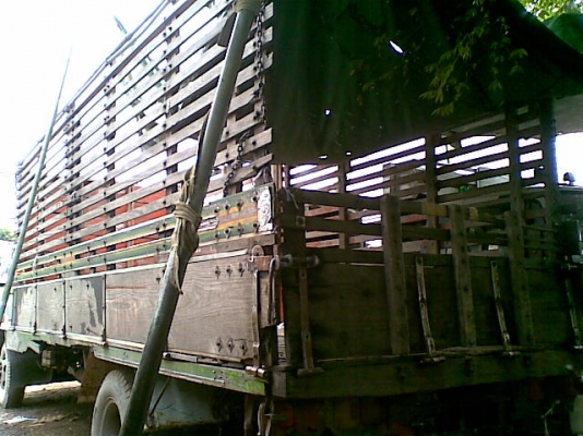 ขาย6ล้ออีซูซุ ร๊อคกี้FTR ยาว6.70เมตร เครื่อง6BD1-160แรงม้า พวงมาลัยพาวเวอร์ เบรคจิฟฟี่ สภาพดีพร้อมใช้ กระบะมีตำหนิเล็กน้อย ขาย6ล้ออีซูซุ ร๊อคกี้FTR ยาว6.70เมตร เครื่อง6BD1-160แรงม้า พวงมาลัยพาวเวอร์ เบรคจิฟฟี่ สภาพดีพร้อมใช้ กระบะมีตำหนิเล็กน้อย