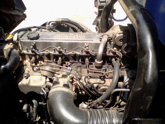 ขายด่วนๆๆๆๆ NPR 120 HP ฝาขาว ดั้ม 6 ตัน เกียร์ร็อกเสื้อลาย ช่วงล่างใหญ่ เครื่องดี ยางดี คลัทซีสวย ต่อรองได้ครับ