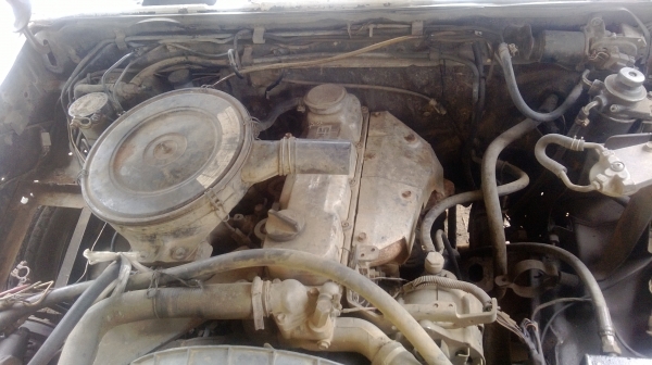 ขายย BIG M ดั้มม