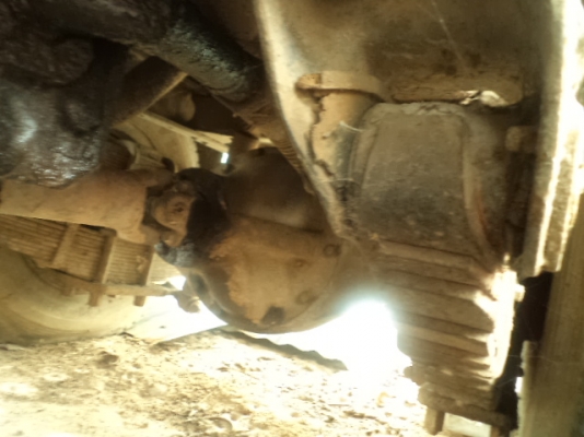 ขายไดน่าหัวกบเครนดั้ม