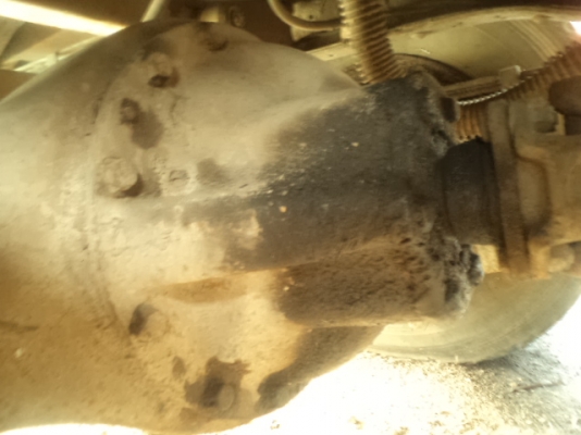 ขายไดน่าหัวกบเครนดั้ม