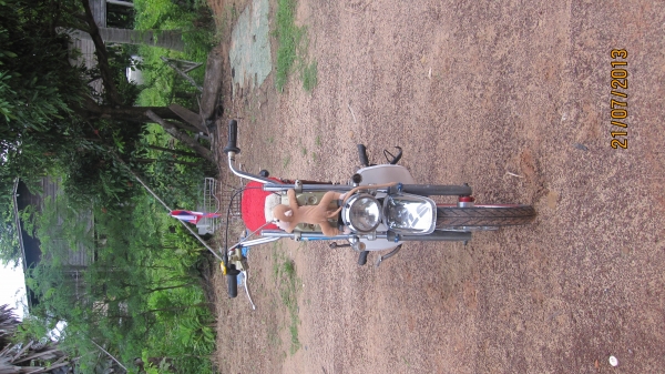 ขายชาลี2คันแต่ง2แบบ2สไตล์ครับอิอิ...ชอบคันไหนว่ามาเลยครับ คันที่1 สีเขียวแต่งยุ่นสีสวยล้อโตๆครับ เครื่องดรีมฝาข้างชุปๆสภาพพร้อมขี่ครับ no-book ออกใบซื้อขายให้ครับ ราคาเปิดที่21000บาทราคายังไม่รวมค่าส่งนะครับ...เอาจิงลดได้นิดน่อยครับสนใจติดต่อ080-1696651 ส