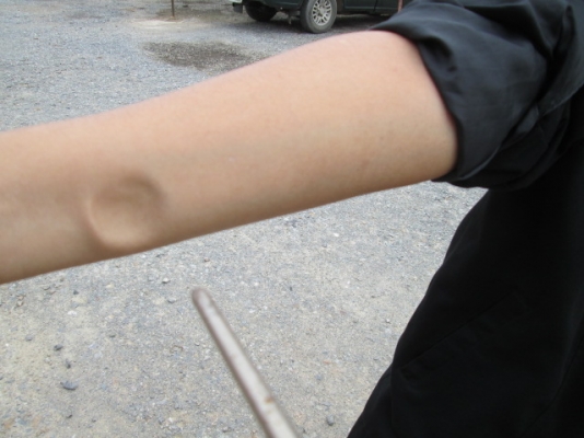 ปั๊มลม IWATA ปั๊มลม IWATA