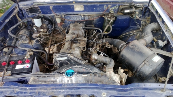 ขายม้าดำช่วงสั้น ดีเซล ทะเบียนโอน ขายม้าดำช่วงสั้น ดีเซล ทะเบียนโอน