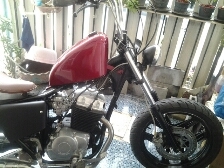 รีเบลแต่งold schollด่วน